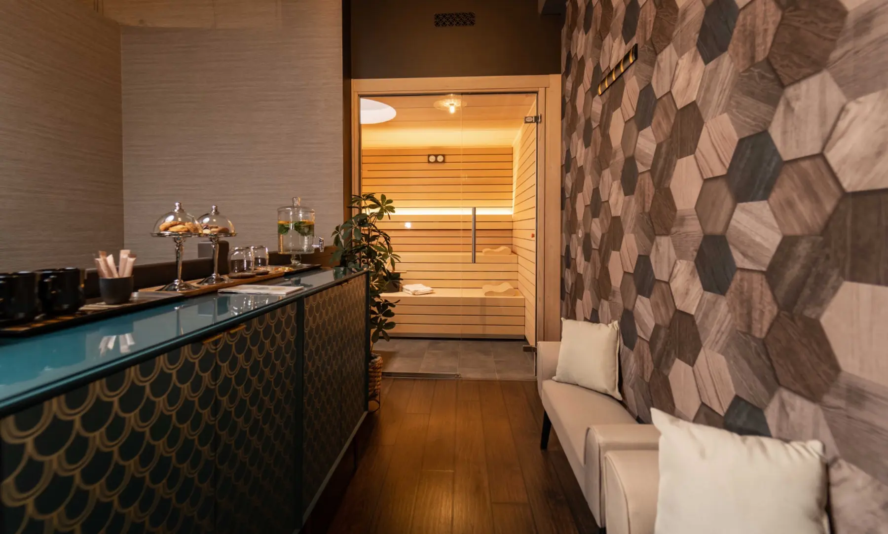 Espace d’accueil avec vue sur le sauna